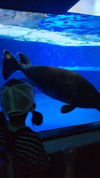サンシャイン水族館に投稿された画像（2023/5/21）