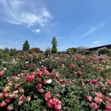 ひらかたパークに投稿された画像（2023/5/21）