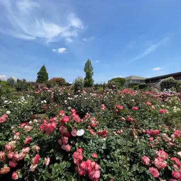 ひらかたパークに投稿された画像（2023/5/21）