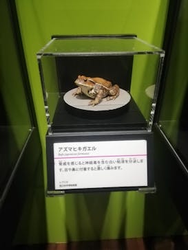 特別展「毒」に投稿された画像（2023/5/21）