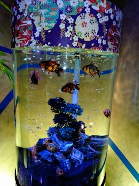 ネオパークオキナワに投稿された画像（2023/5/21）