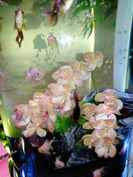 ネオパークオキナワに投稿された画像（2023/5/21）