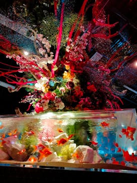 ネオパークオキナワに投稿された画像（2023/5/21）