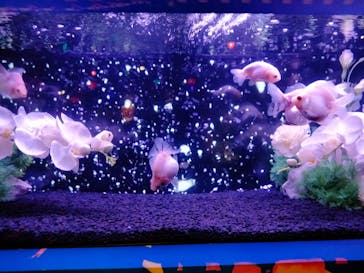 ネオパークオキナワに投稿された画像（2023/5/21）