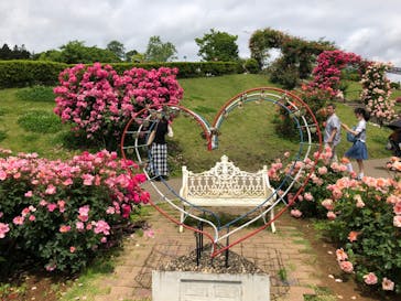 いばらきフラワーパークに投稿された画像（2023/5/21）