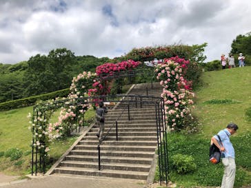 いばらきフラワーパークに投稿された画像（2023/5/21）