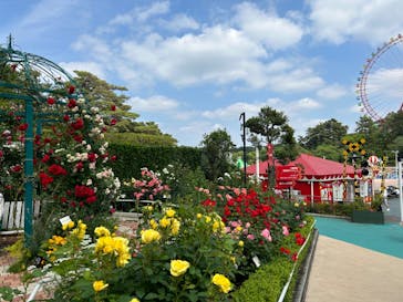 西武園ゆうえんちに投稿された画像（2023/5/21）