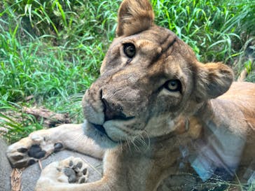 沖縄こどもの国に投稿された画像（2023/5/21）
