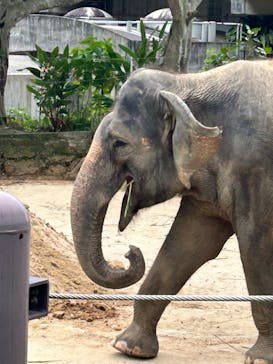 沖縄こどもの国に投稿された画像（2023/5/21）