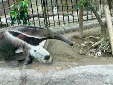 沖縄こどもの国に投稿された画像（2023/5/21）