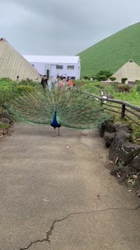 伊豆シャボテン動物公園に投稿された画像（2023/5/21）