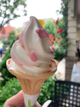 横浜イングリッシュガーデンに投稿された画像（2023/5/21）