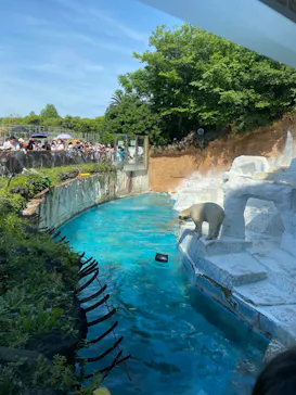 天王寺動物園に投稿された画像（2023/5/21）