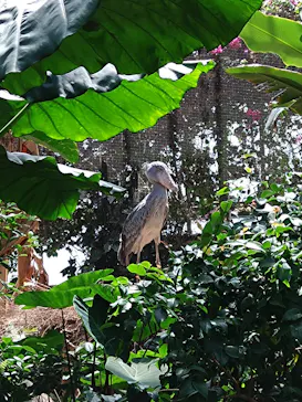 神戸どうぶつ王国に投稿された画像（2023/5/21）
