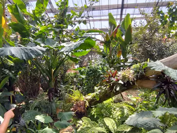 神戸どうぶつ王国に投稿された画像（2023/5/21）