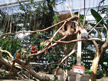 神戸どうぶつ王国に投稿された画像（2023/5/21）