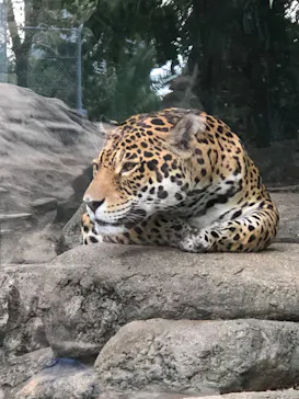 天王寺動物園に投稿された画像（2023/5/21）