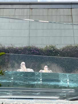 サンシャイン水族館に投稿された画像（2023/5/21）