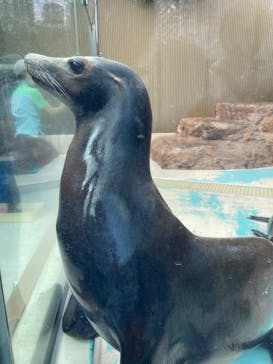 サンシャイン水族館に投稿された画像（2023/5/21）