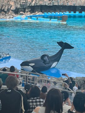 名古屋港水族館に投稿された画像（2023/5/21）