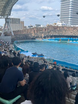 名古屋港水族館に投稿された画像（2023/5/21）