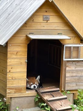 千葉市動物公園に投稿された画像（2023/5/21）