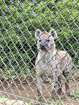 千葉市動物公園に投稿された画像（2023/5/21）
