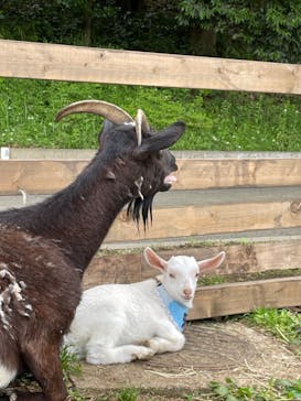 千葉市動物公園に投稿された画像（2023/5/21）