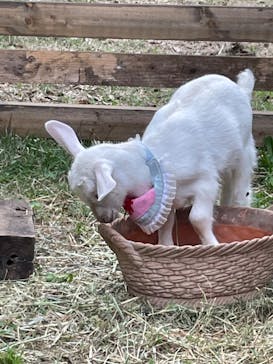 千葉市動物公園に投稿された画像（2023/5/21）