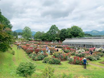 いばらきフラワーパークに投稿された画像（2023/5/21）