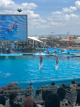 名古屋港水族館に投稿された画像（2023/5/21）