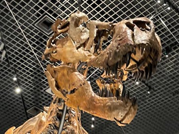 特別展「恐竜博2023」に投稿された画像（2023/5/21）