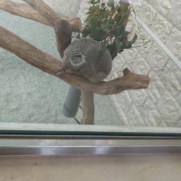 淡路ファームパーク イングランドの丘に投稿された画像（2023/5/21）