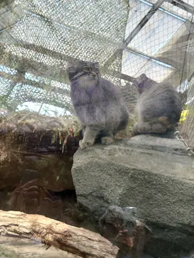 神戸どうぶつ王国に投稿された画像（2023/5/21）