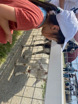 ワールド牧場に投稿された画像（2023/5/21）