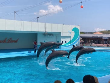 南知多ビーチランド＆南知多おもちゃ王国に投稿された画像（2023/5/21）