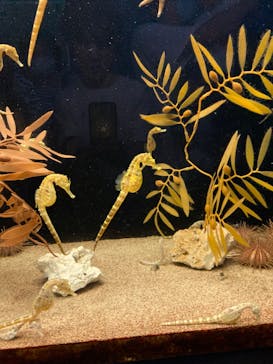 株式会社Gに投稿された画像（2023/5/21）