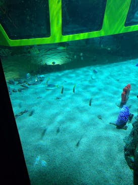 レゴランドⓇ・ジャパン・リゾートに投稿された画像（2023/5/4）