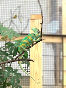 しろとり動物園に投稿された画像（2023/5/21）