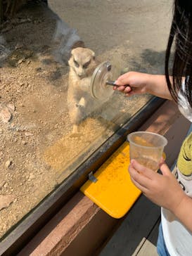 しろとり動物園に投稿された画像（2023/5/21）