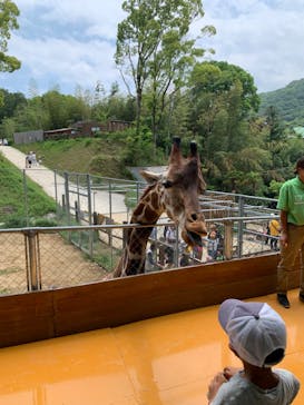 しろとり動物園に投稿された画像（2023/5/21）