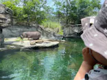 天王寺動物園に投稿された画像（2023/5/21）