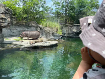 天王寺動物園に投稿された画像（2023/5/21）