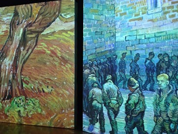 ゴッホ・アライブ神戸に投稿された画像（2023/5/21）