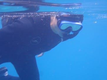 石垣島 ADVENTURE PiPi（イシガキジマアドベンチャーピピ）に投稿された画像（2023/5/21）