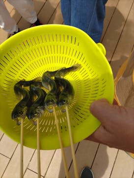 NESTA RESORT KOBE（ネスタリゾート神戸）に投稿された画像（2023/5/21）