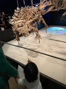 特別展「恐竜博2023」に投稿された画像（2023/5/21）