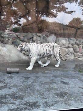 東武動物公園に投稿された画像（2023/5/21）