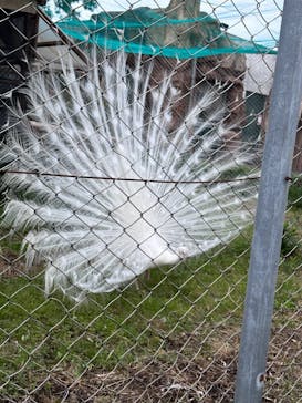 東武動物公園に投稿された画像（2023/5/21）