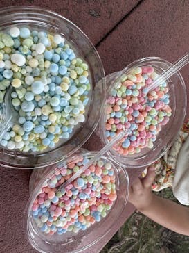 東武動物公園に投稿された画像（2023/5/21）